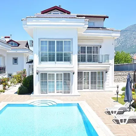 Belvedere *